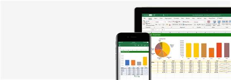 免费在线电子表格软件：Excel .